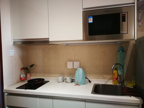 出租 短租 六号线地铁常营站 全精装修独立公寓 短...