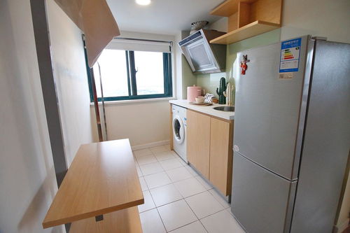 九亭地铁站城家公寓可短租可做饭